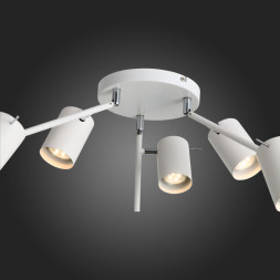 Потолочный светильник ST-Luce Fanale SL597.502.06