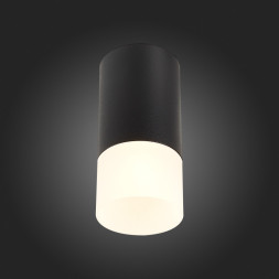 Накладной точечный светильник ST-Luce ST100 ST100.412.01