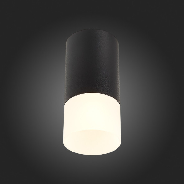 Накладной точечный светильник ST-Luce ST100 ST100.412.01