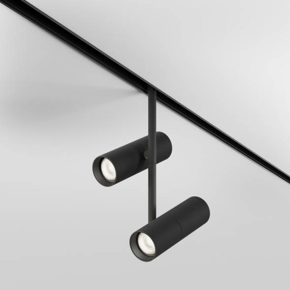 Магнитный трековый светильник Maytoni Technical Elti Duo TR005-2-2X12W4K-B