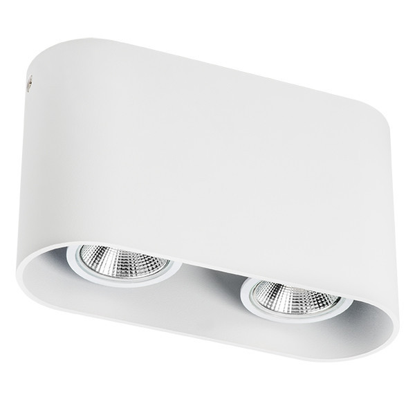 Накладной точечный светильник Lightstar RULLO 214866