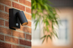 Уличный настенный светильник LUCIDE TAYLOR 09831/01/30