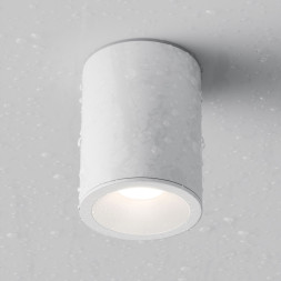 Точечный влагозащищенный светильник Maytoni Technical ALFA C029CL-01W