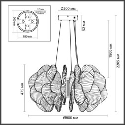 Подвесная люстра Odeon Light 5089/115L SIAMA