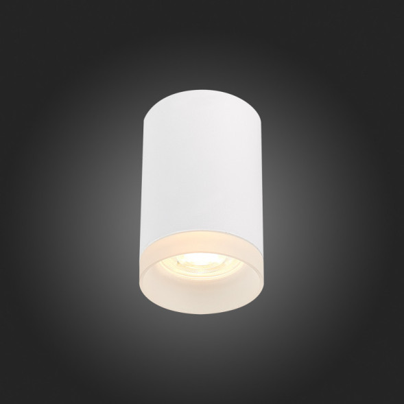 Накладной точечный светильник ST-Luce ST100 ST100.502.01