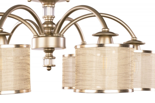 Люстра на штанге Freya Ksenia FR2539CL-06G