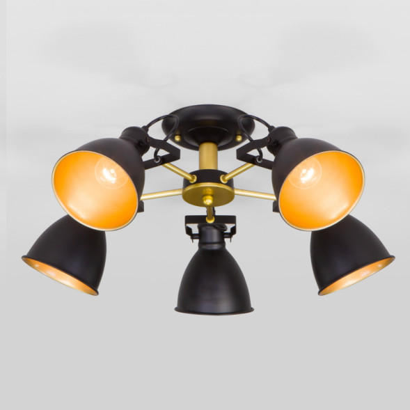 Люстра на штанге Eurosvet Denley 70112/5 черный