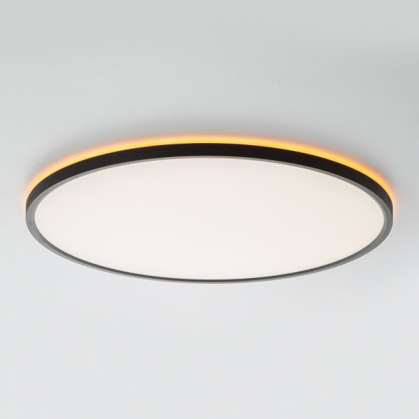 Накладной светильник Citilux CL749501 Norma