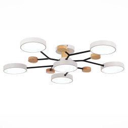 Люстра на штанге Evoluce SLE6006-502-06 FAEMA