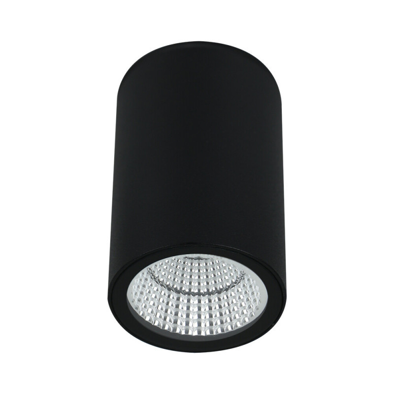 Уличный потолочный светильник ARTE Lamp torcular A1307PF-1BK
