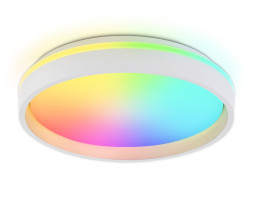 Потолочный светильник Ambrella Light FZ601 ORBITAL