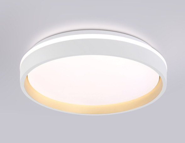 Потолочный светильник Ambrella Light FZ601 ORBITAL