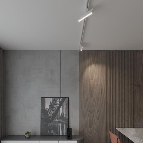 Трековый светильник Elektrostandard Garda Белый 20W 4200K (85018/01) однофазный