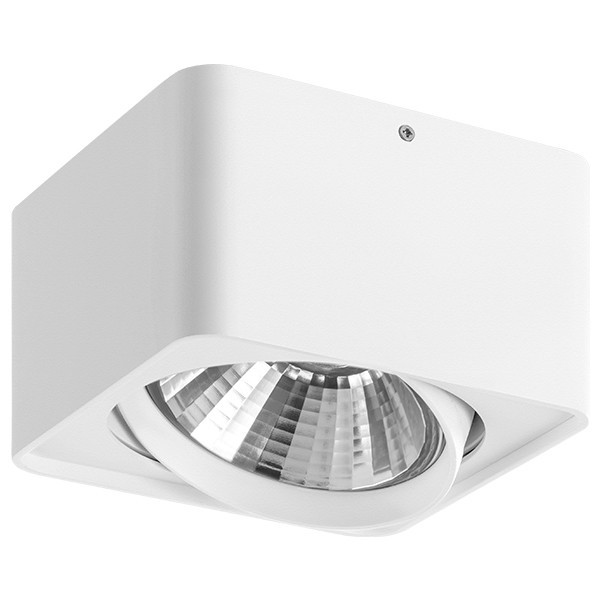 Накладной точечный светильник Lightstar Monocco 212616
