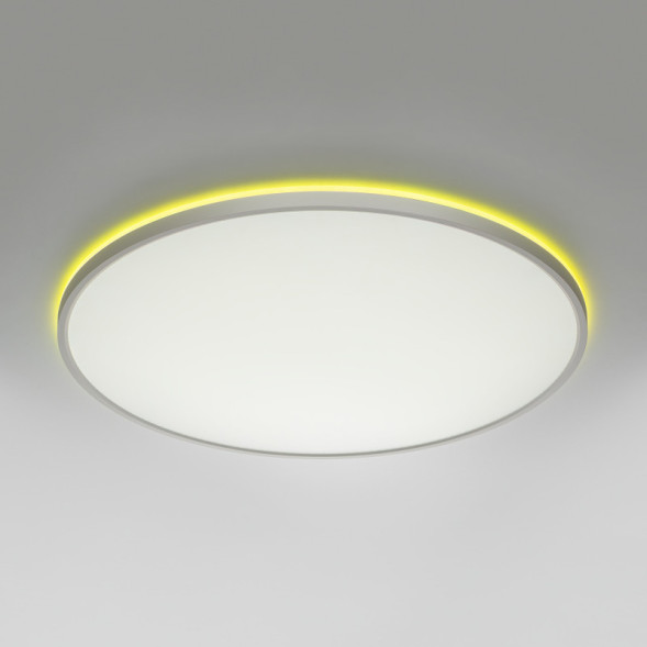 Накладной светильник Citilux CL749600 Norma
