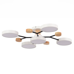 Люстра на штанге Evoluce SLE6006-502-05 FAEMA