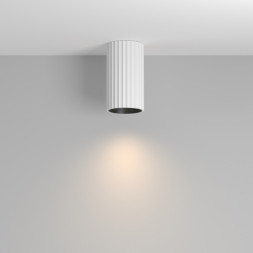 Накладной точечный светильник Maytoni Technical C106CL-01-GU10-W calipso