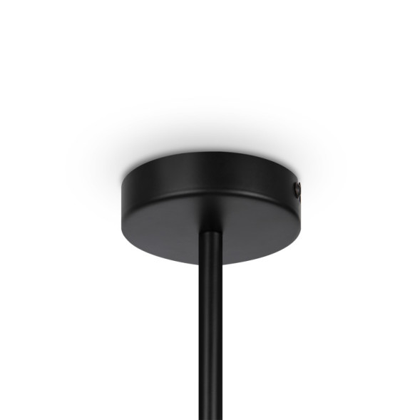 Люстра на штанге Maytoni MEMORY MOD177PL-04B