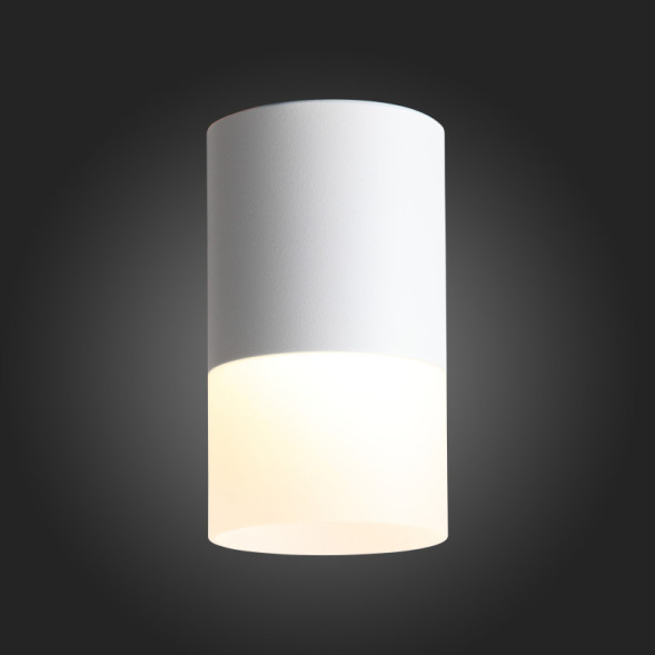 Накладной точечный светильник ST-Luce OTTU ST100.502.10