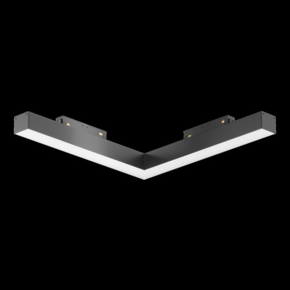 Магнитный трековый светильник Maytoni Technical BASIS TR078-2-24W4K-B