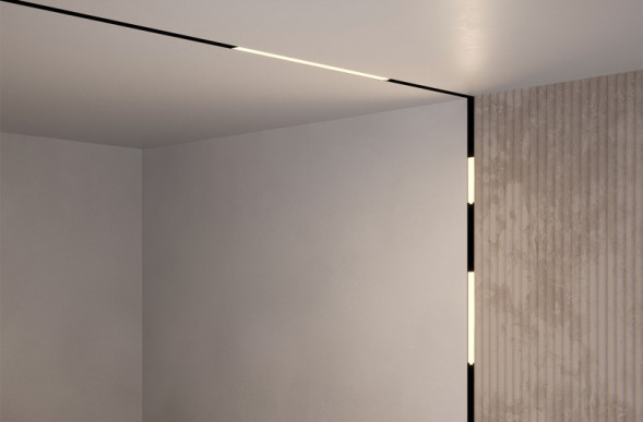 Магнитный трековый светильник Maytoni Technical BASIS TR074-2-12W4K-B