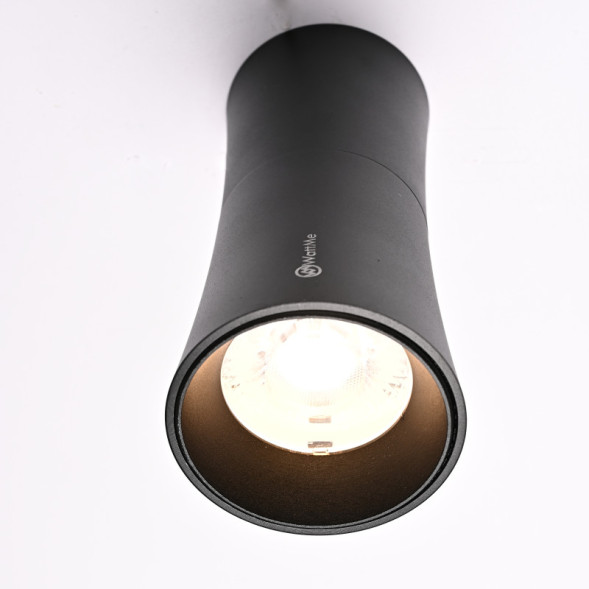 Накладной точечный светильник ImperiumLoft 314097-26 Zyppa