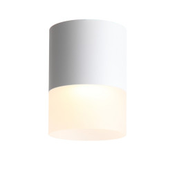 Накладной точечный светильник ST-Luce OTTU ST100.502.15