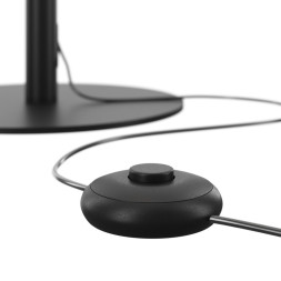 Торшер Maytoni RAY Z012FL-L18B3K