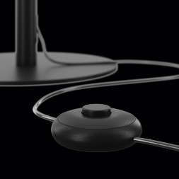 Торшер Maytoni RAY Z012FL-L18B3K