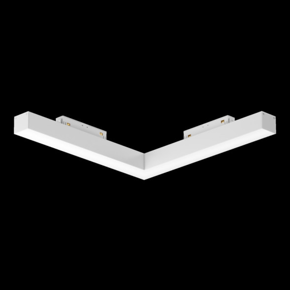 Магнитный трековый светильник Maytoni Technical BASIS TR078-2-24W4K-W