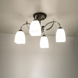 Люстра на штанге Citilux Крокус CL128141