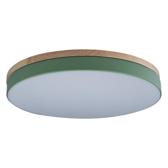 Детский светильник LOFT IT AXEL 10001/36 Green