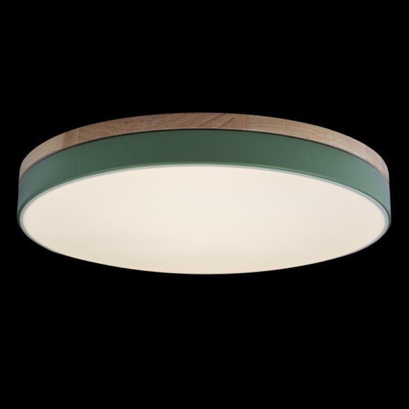 Детский светильник LOFT IT AXEL 10001/36 Green