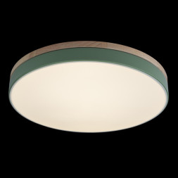 Детский светильник LOFT IT AXEL 10001/36 Green