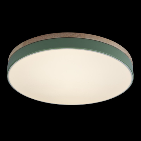 Детский светильник LOFT IT AXEL 10001/36 Green