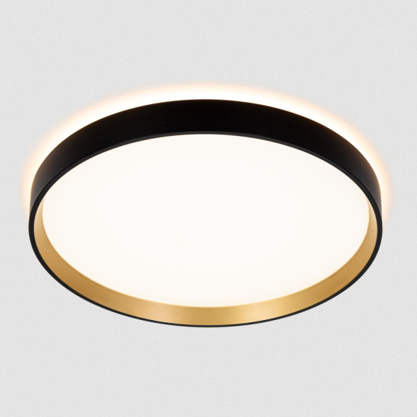 Накладной светильник Citilux CL750321R ETALON