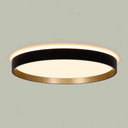 Накладной светильник Citilux CL750321R ETALON