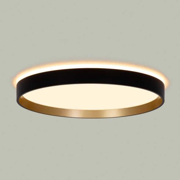 Накладной светильник Citilux CL750321R ETALON