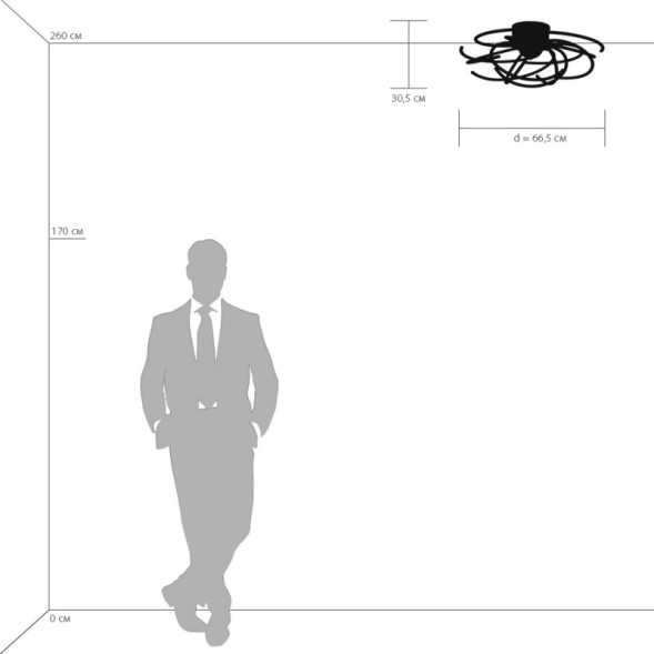 Потолочная люстра Lightstar Ciclone 748094