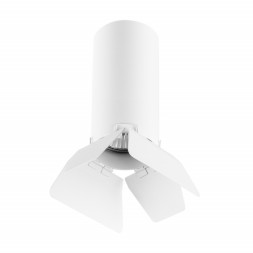 Накладной точечный светильник Lightstar RULLO R486436