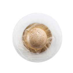 Бра MODELUX 1005.250 MS.1005.250