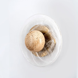 Бра MODELUX 1005.250 MS.1005.250