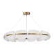 Подвесная люстра ST-Luce Etoile SL1304.203.65