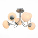 Потолочная люстра Evoluce Acini SL717.552.06