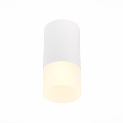 Накладной точечный светильник ST-Luce ST100 ST100.512.01