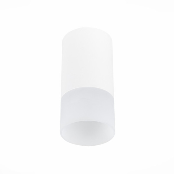 Накладной точечный светильник ST-Luce ST100 ST100.512.01