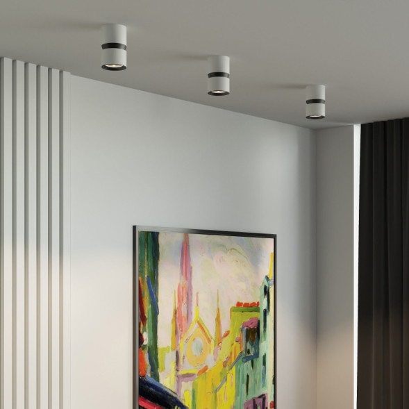 Накладной точечный светильник Elektrostandard 25049/LED 12W 4000К белый/чёрный