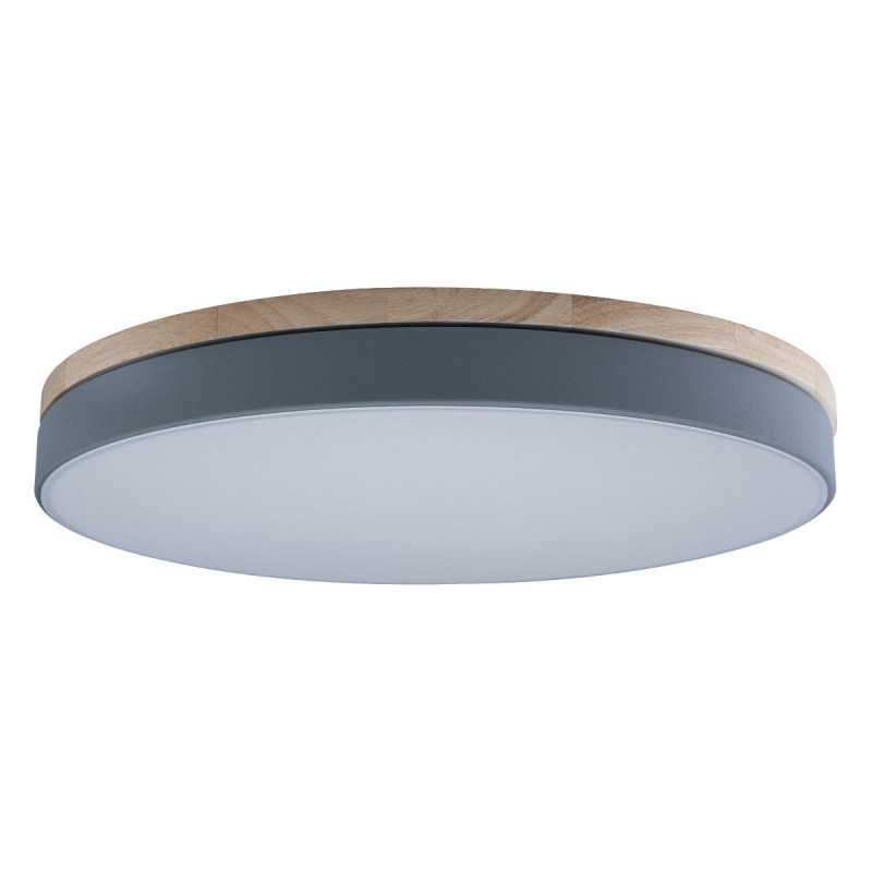 Потолочный светильник LOFT IT AXEL 10001/36 Grey