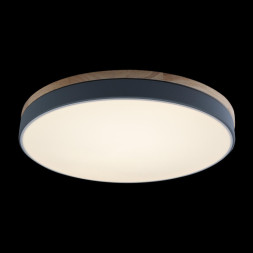 Потолочный светильник LOFT IT AXEL 10001/36 Grey