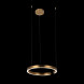 Подвесной светильник LOFT IT RING 10013M